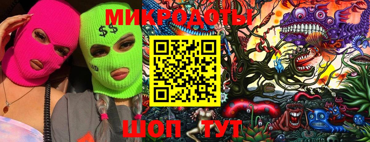 Галлюциногенные грибы Psilocybe Ковров